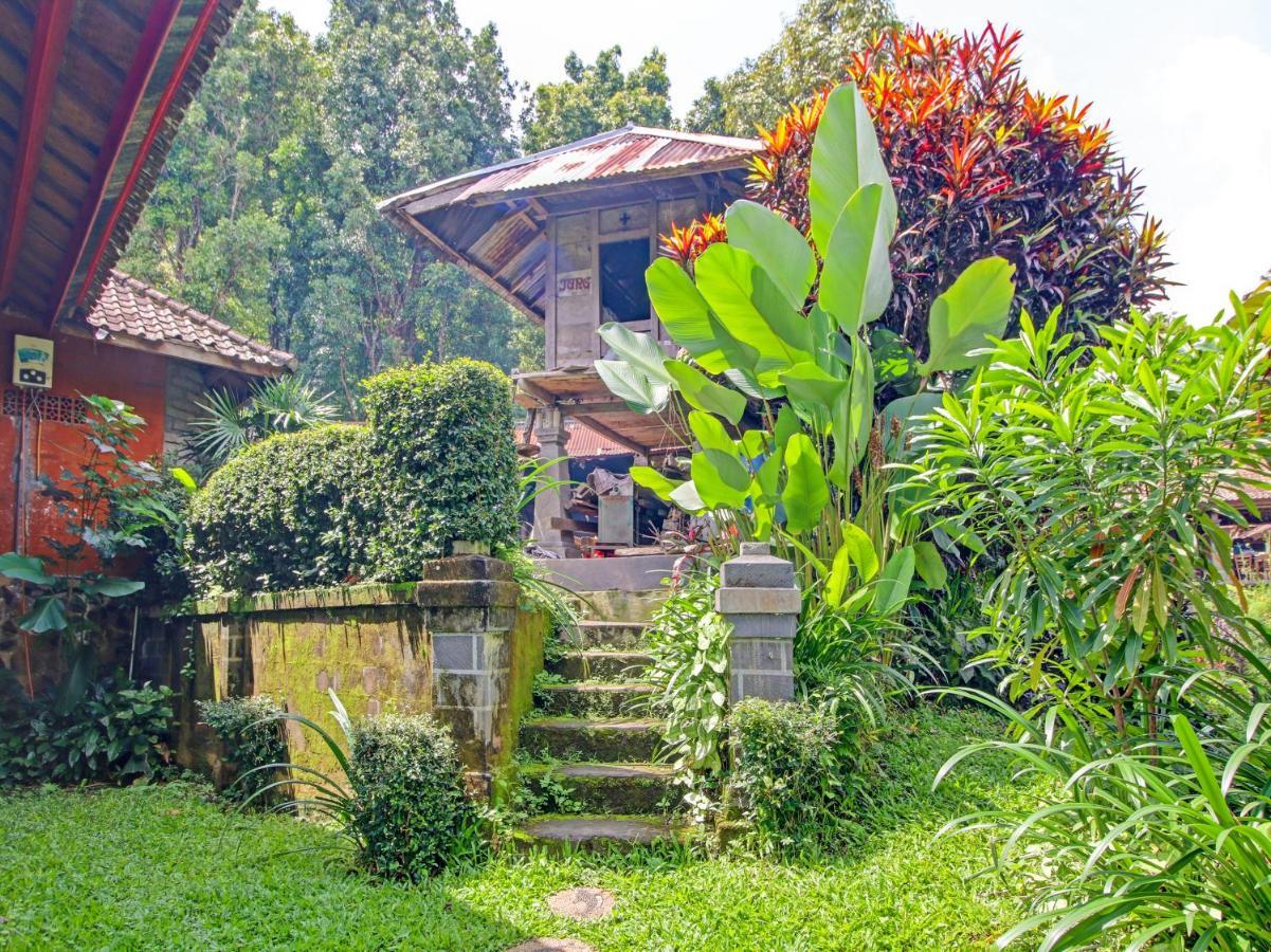 OYO Homes 91091 Desa Wisata Umejero Munduk Exterior foto