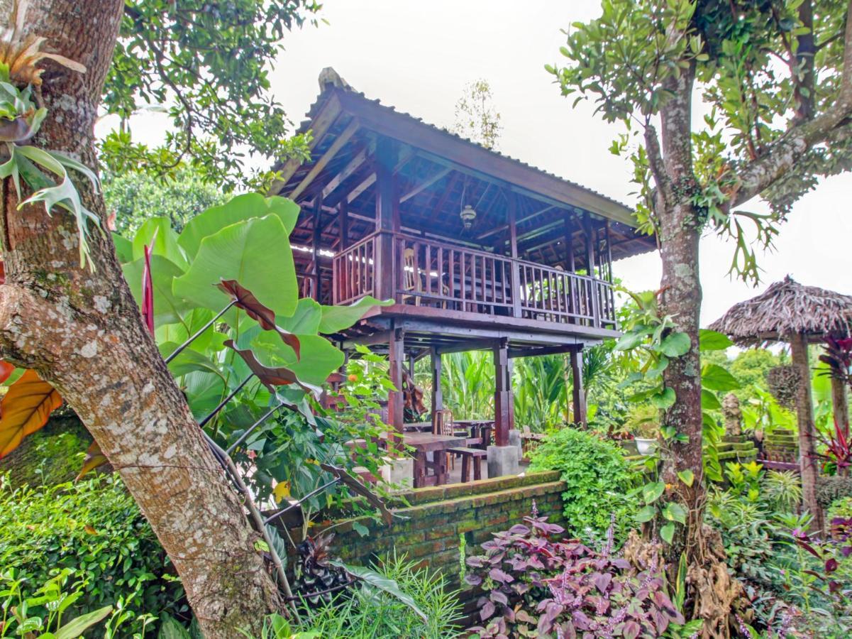 OYO Homes 91091 Desa Wisata Umejero Munduk Exterior foto